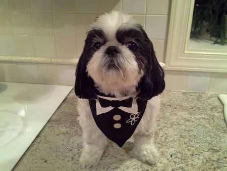 Oscar