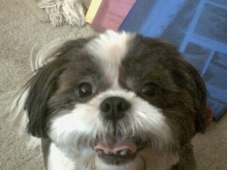Sampson