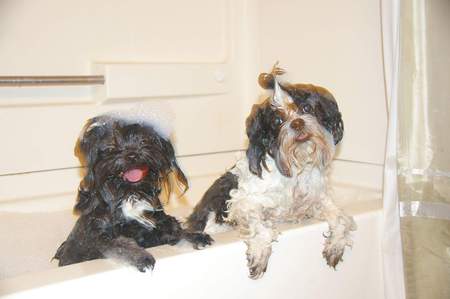 Maddie and Louie