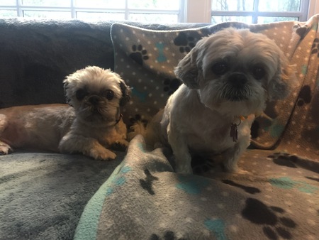 Mickey & Sabrina