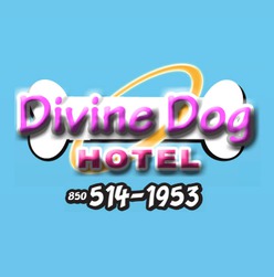 Divine Dog Hotel