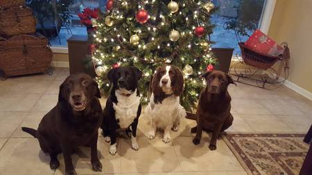 The Four Amigos