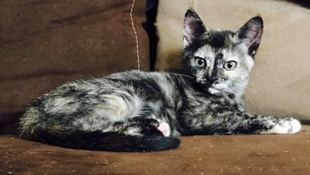 Mackenzie (LIttle Stink)
