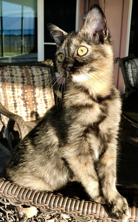 Delilah Rose 