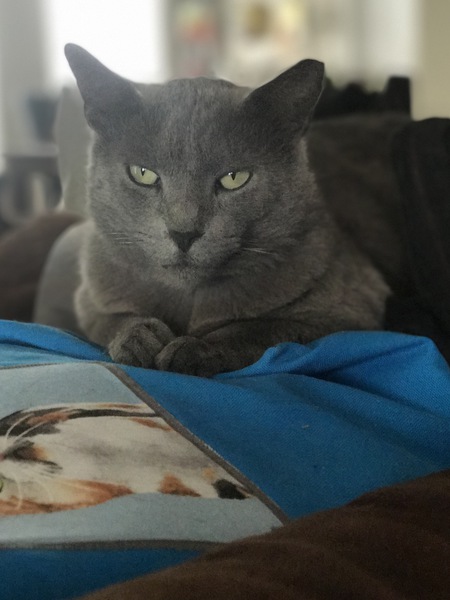 Boris