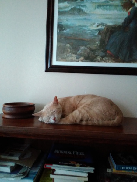 Linus