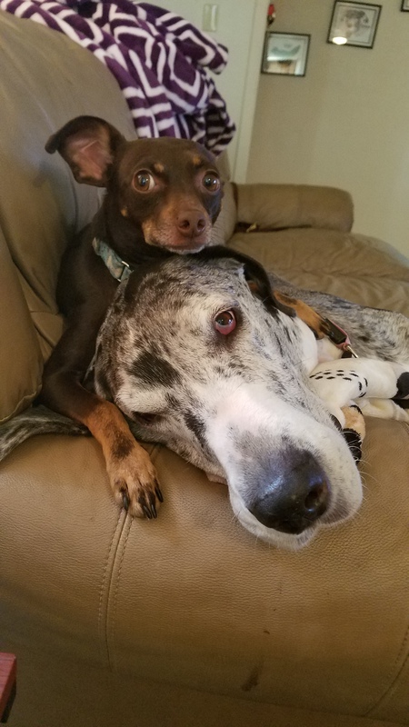 Dex and Ophelia