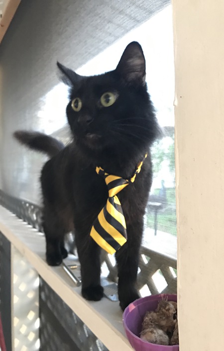 Eric Jr. 