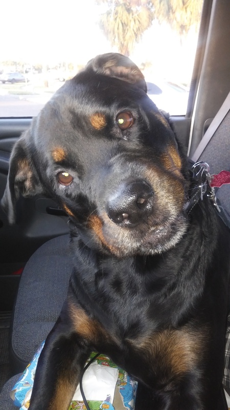 Max