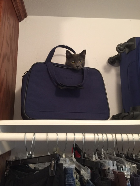 Houdini