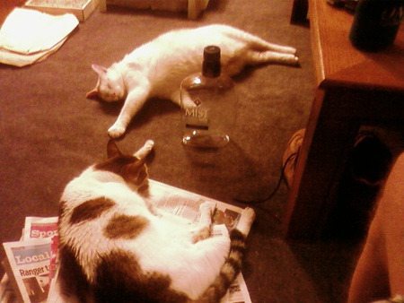 Hoover and Cisco