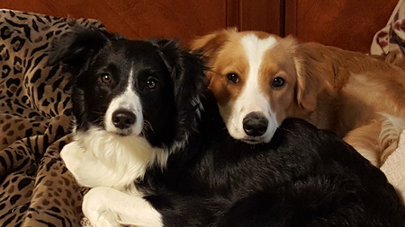 Paysun & Apache