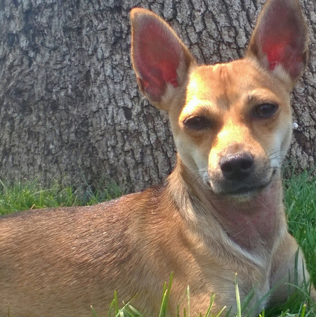 Buddy (formally known as Bill)