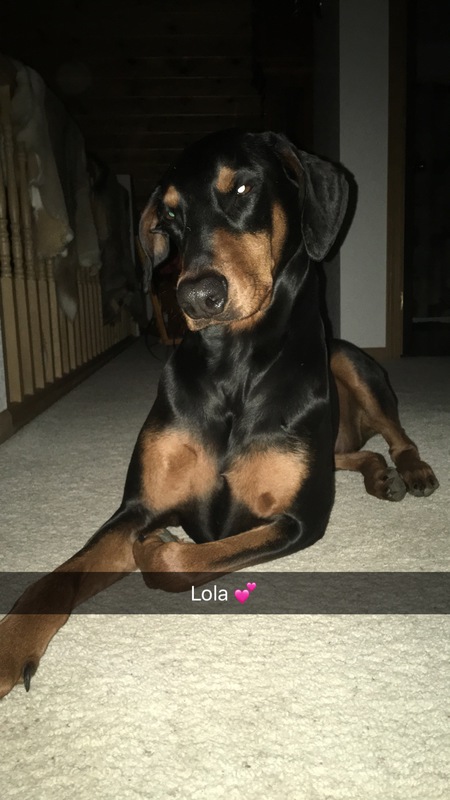 Lola