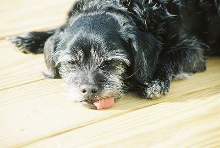 Entry image for Ivan. Clicking this image will show a larger photo