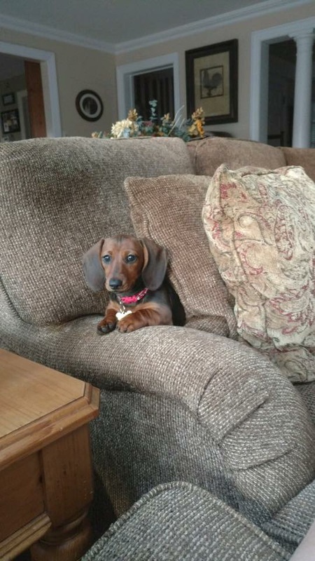 Abby