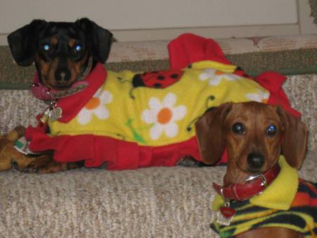 Bella and Schatzi