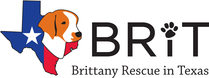 Logo for Save Brittany Lives with Snapshots BRIT Photo Contest