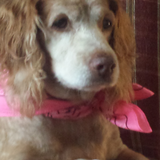 Entry image for Chloe 