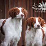 Entry image for Zoe & Abby