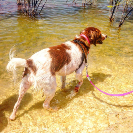Entry image for Ginny. Clicking this image will show a larger photo