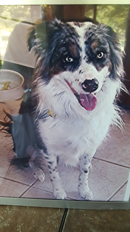 Gidget