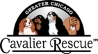 Logo for GCCR 2018 Calendar Photo Contest