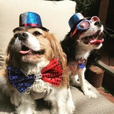 Entry image for Bentley and Kelce