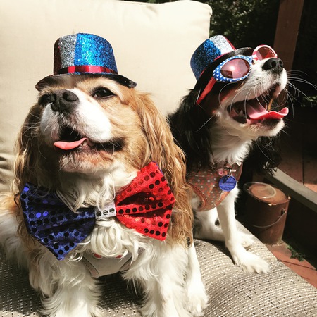Entry image for Bentley and Kelce. Clicking this image will show a larger photo
