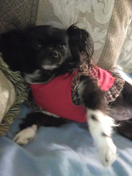 Daisy Lee Rosado
