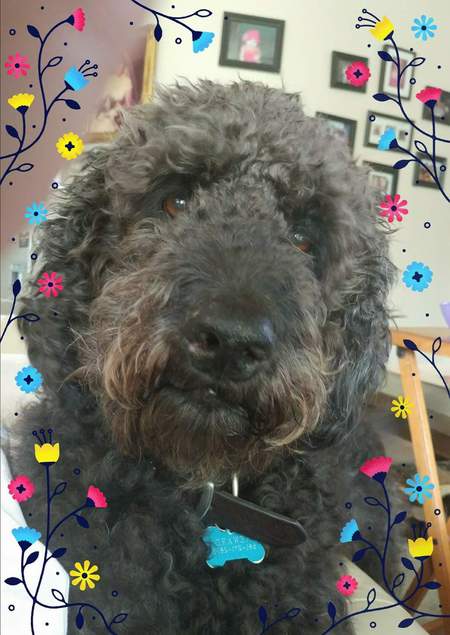 Tully