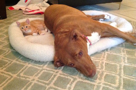 Roxy & Aubie