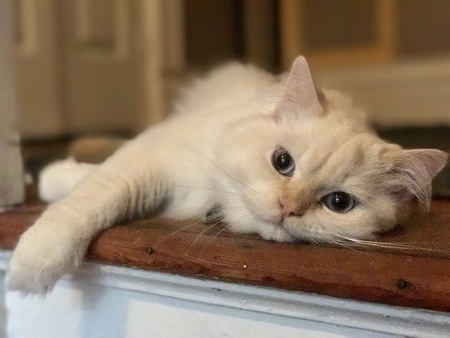 Kilo