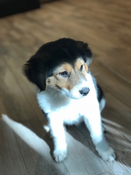 Margo 