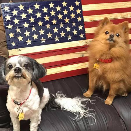 Jude & Phoebe