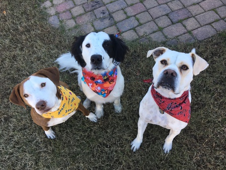Ethel, Buddy, Yo-Yo