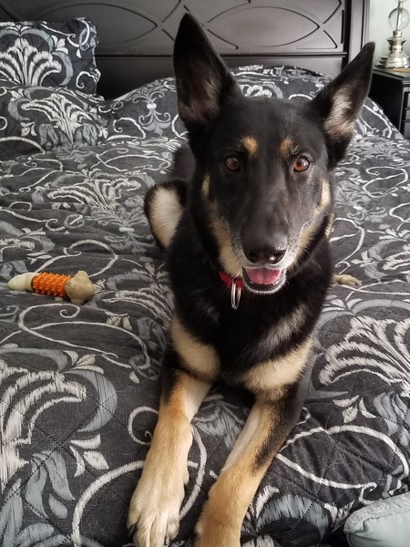 Nora