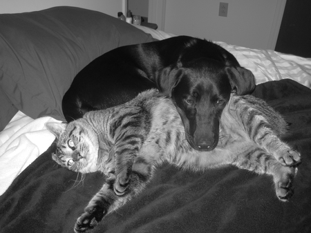 Maggie & Lewie