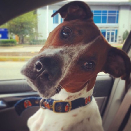 Baxter