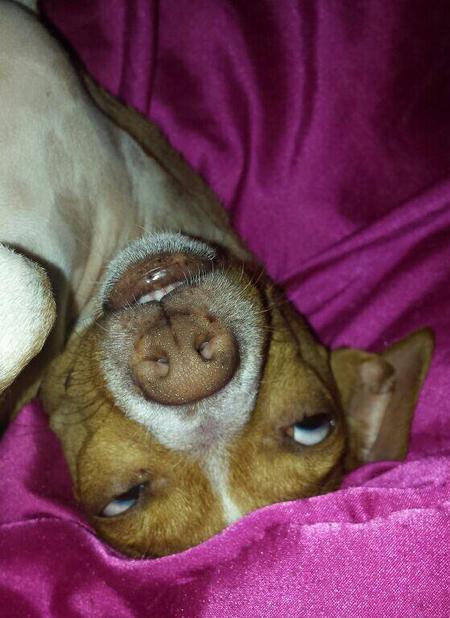 Fiona