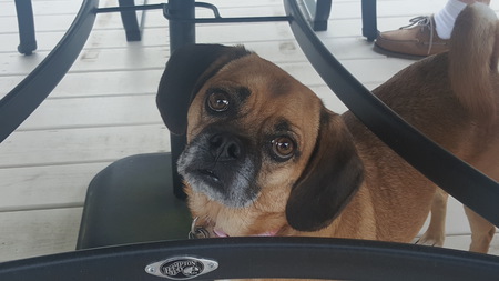 Marley