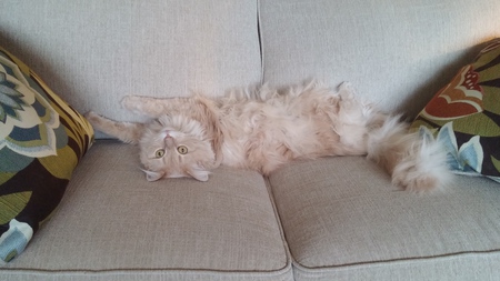 Rusty