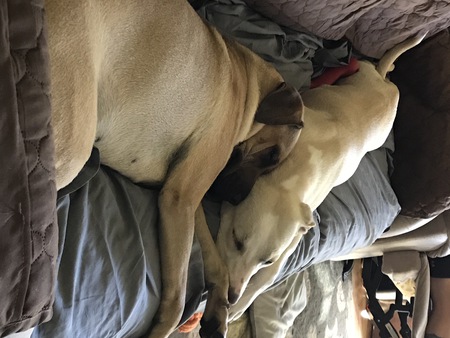 Mabel and Sierra