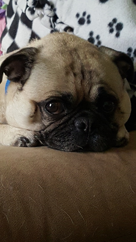 Jack
