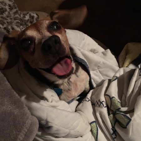 Mitzi