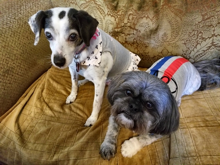 Bessie & Gucci
