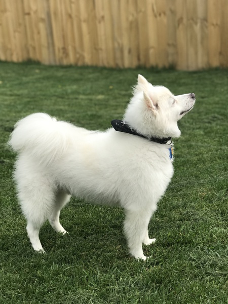 Max