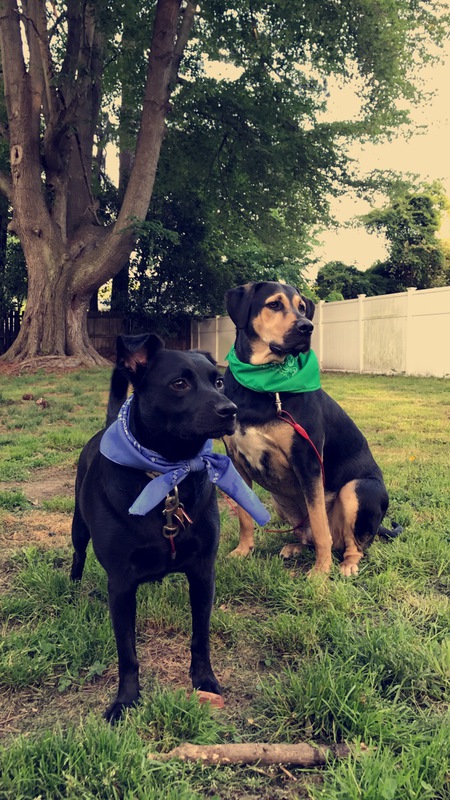 Leonardo & Maximus
