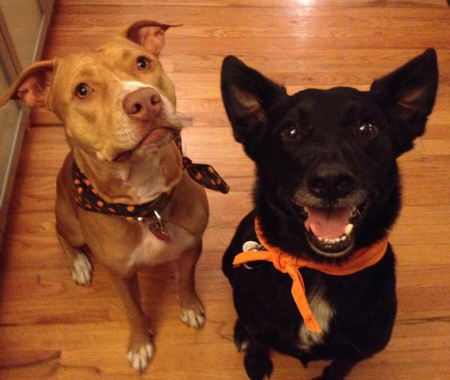 Augie & Daisy