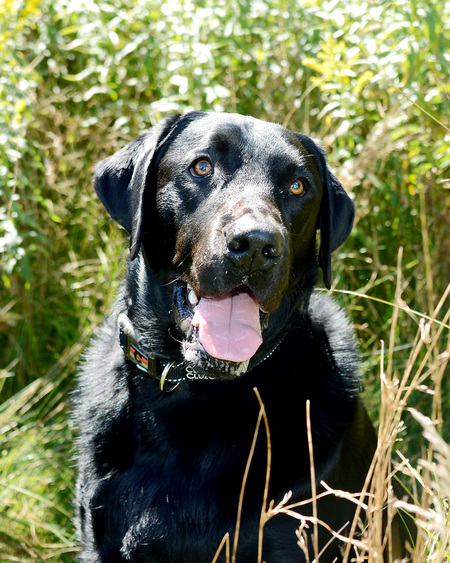 Charlie